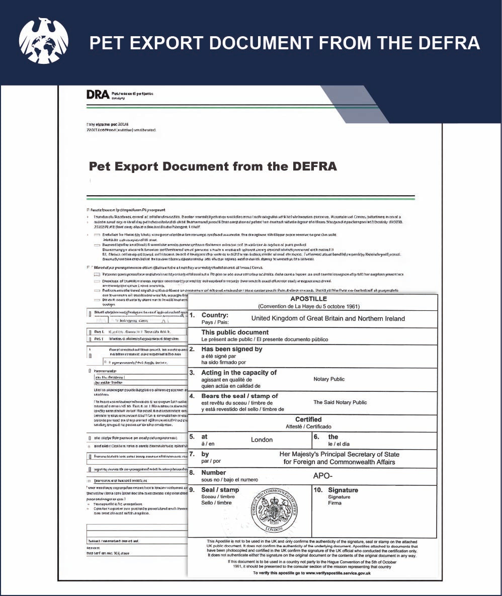 Pet Export Document from the DEFRA – Express Apostille Service
