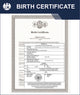 Birth Certificate (UK) – Express Apostille Service