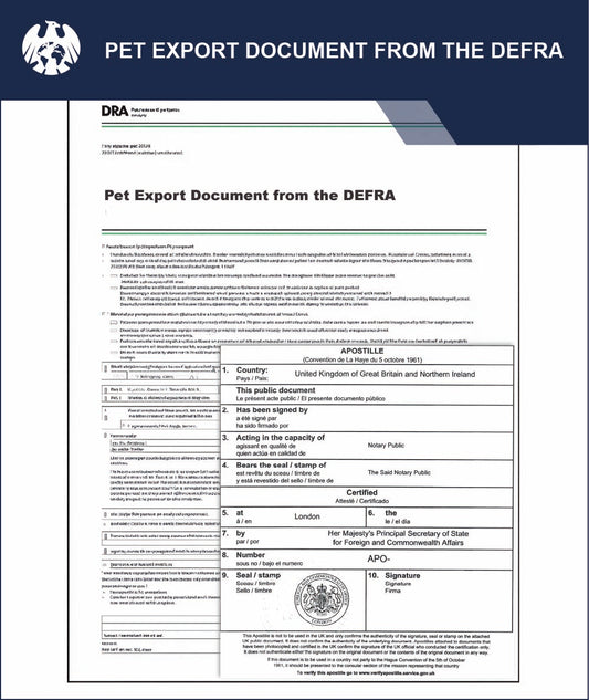 Pet Export Document from the DEFRA – Express Apostille Service